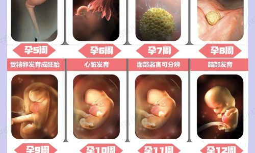 怀女宝女性-怀女宝宝是撅屁股吗网—知名的怀女宝是不是容易胖网站,分享怀女宝是不是容易胖知识